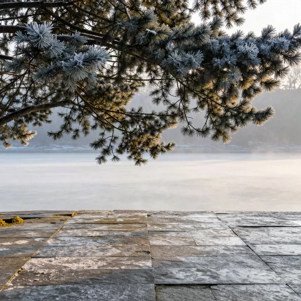 Snowy cedar above a calm stone terrace with warm low sun and open copy space.
